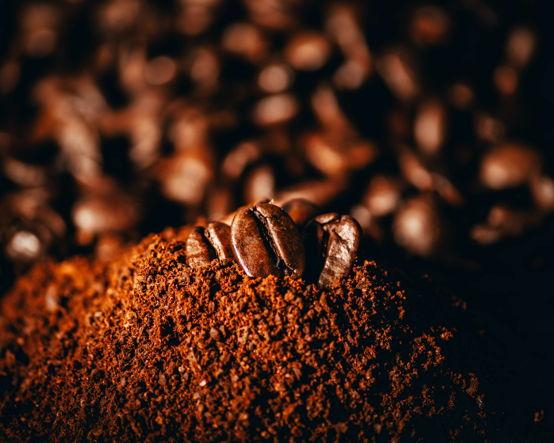 Photo by Tamas Pap on Unsplash
      